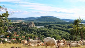 dm podporila sumou takmer 3 200 eur bratislavský klimatický projekt Lesostepné lúky Devínskej Kobyly