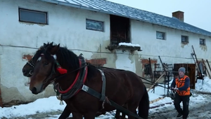 Kuriózna odťahovka: Na Spiši záprah koní zachránil uviaznutý kamión