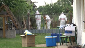 Mobilná jednotka v obci na východe Slovenska zlikvidovala všetky ošípané