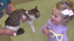 Nádherné! Dievčatku s amputovanou rukou rodičia darovali trojnohé mačiatko