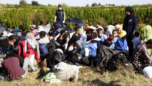 Utečenci trápia Slovákov viac ako nezamestnanosť či korupcia
