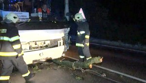 Vietor vyvrátil strom, ohrozil cestujúcich autobusu