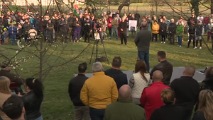 Farmári z južného Slovenska odmietajú, aby bol ich zdravý dobytok usmrtený