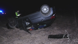 Stret so zverou poslal vodiča mimo cestu. Auto skončilo na streche