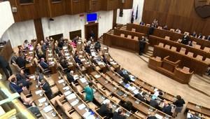 Rozhodnutie padlo. Náhubkový zákon nie je v rozpore s Ústavou SR