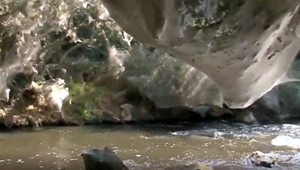 Nič pre ľudí, ktorí sa boja pavúkov. Milióny osemnožcov zaplavili pobrežie rieky