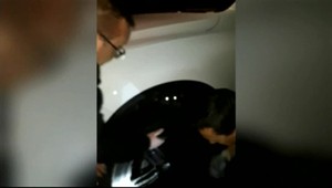 Koala sa viezla 16 kilometrov na náprave auta