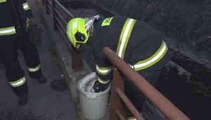 Znečistený potok: Obyvateľov prekvapila kalná voda a mŕtve ryby