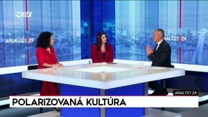 Mimoriadne Analýzy 24: Keď sa nebudeme rozprávať, nezájdeme nikde, tvrdí Malatinec