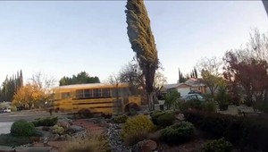 Vodič autobusu zaspal za volantom. Zastavil ho až rodinný dom