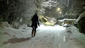 Útok na domácich miláčikov. V Žiline niekto podhadzuje otrávené rožky