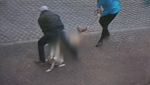 Pes pustený na voľno zaútočil na iného psa, pohrýzol aj jeho majiteľku