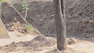 Nájdete na tejto fotografii leoparda? Na internete sa šíri rýchlosťou blesku