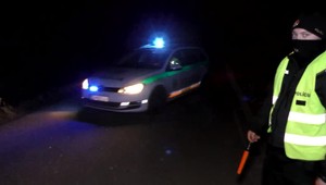 Vodič sa napichol na parohy, keď chcel po zrážke skontrolovať srnca