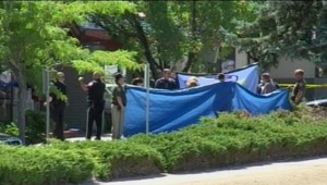 Masaker v palacinkárni! Šialenec postrieľal vojakov