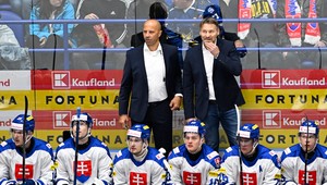 Slovensko vyhráva nad Dánskom 2:0