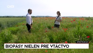 Spektrum 24 o biopásoch nielen pre vtáctvo