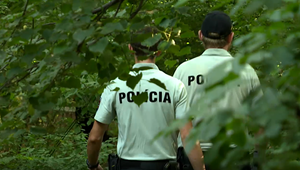 Bez vodičáku a opitý za volantom - dvakrát za týždeň. Dôchodca vyviazol s podmienkou