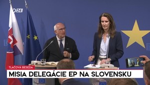 Tlačová beseda: Misia delegácie EP na Slovensku