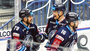 Českú hokejovú ligu navštívili vyše dva milióny divákov