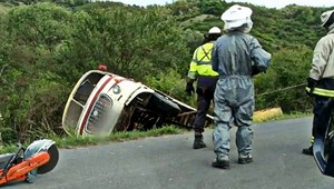 Hasiči zachraňovali tri milióny rozzúrených včiel