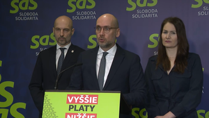 Tlačová beseda SaS o baterkárni a o rope