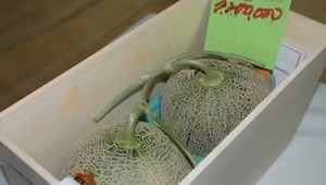 Melón vydražili za viac ako 25 000 eur. Majiteľ ho chce po kúskoch rozdať