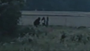 Prezliekal sa za gorilu. Potom vyrazil za ženami!