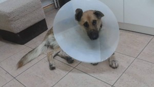 Reportéra TV JOJ zablokoval policajný facebook: Chcel políciu upozorniť, že sa chváli cudzím perím