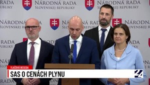Tlačová beseda SaS o cenách plynu