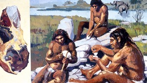 Predkovia moderných ľudí sa nekrížili s neandertálcami, tvrdia vedci