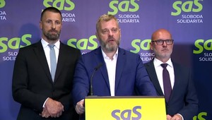 Tlačová beseda strany SaS na tému: Štát príde o pol milióna