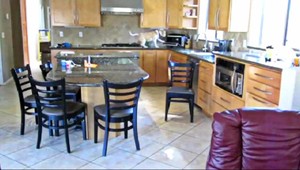 SKRYTÁ KAMERA: Pes je sám doma, skončí v mikrovlnke