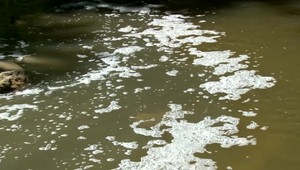 Rieka Nitra je otrávená. Obsahuje toxické látky a ťažké kovy