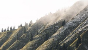 Vodič autobusu stratil vedomie. Od pádu z útesu ich zachránil turista