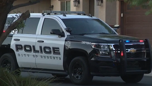 Štvorica páchateľov zinscenovala nelegálny podvod: Chceli to zvaliť na medveda