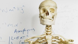 Kostra za volantom! Šokovaní policajti ju museli zastaviť