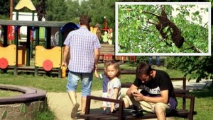 Obrovský roj včiel ohrozoval deti na banskobystrickom ihrisku!