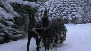 Zotmelo sa, príďte nás zachrániť. Nezodpovední turisti zneužívajú záchranárov.