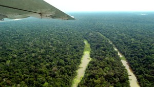 Ničenie amazonských pralesov ohrozuje podľa vedcov ovzdušie Zeme