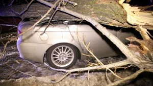 Počasie bude bláznivé. Vysoké teploty, aj výstrahy pred vetrom aj poľadovicou