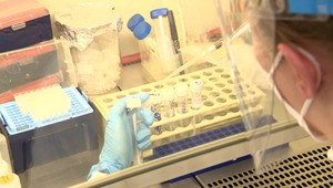 Platnosť PCR testu sa nemeria od doručenia výsledku, ale dňa odberu. Pozrite si prehľad platných vyhlášok