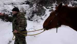Hanku vozí otec zo školy domov netradične. Na koni