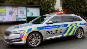 Brutálna vražda: Muž mal udusiť prostitútku kvôli peniazom a potom ju poliať žieravinou