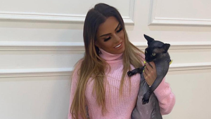 Ľudia chcú petíciou modelke zakázať možnosť mať zvieratko! Už niekoľko jej ich zomrelo!