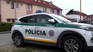 Prievidzčan mal dlhé roky surovo týrať vlastnú matku. Počas poslednej bitky ju takmer zabil