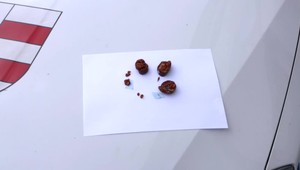 Výstraha pre psíčkarov. V Dolnom Kubíne na uliciach našli otrávené návnady