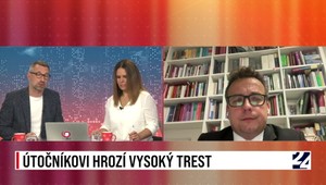 Rozhovor: atentátnikovi hrozí vysoký trest