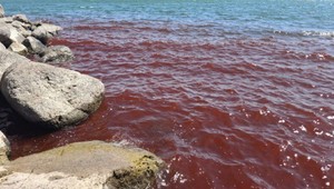 Krvavá voda v Galilejskom mori: Mnohí predpovedajú trest pre Izrael, vedci priniesli vysvetlenie