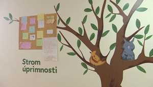 Na Slovensku je nedostatok detských psychiatrov. Na vyšetrenie čakajú aj tri mesiace